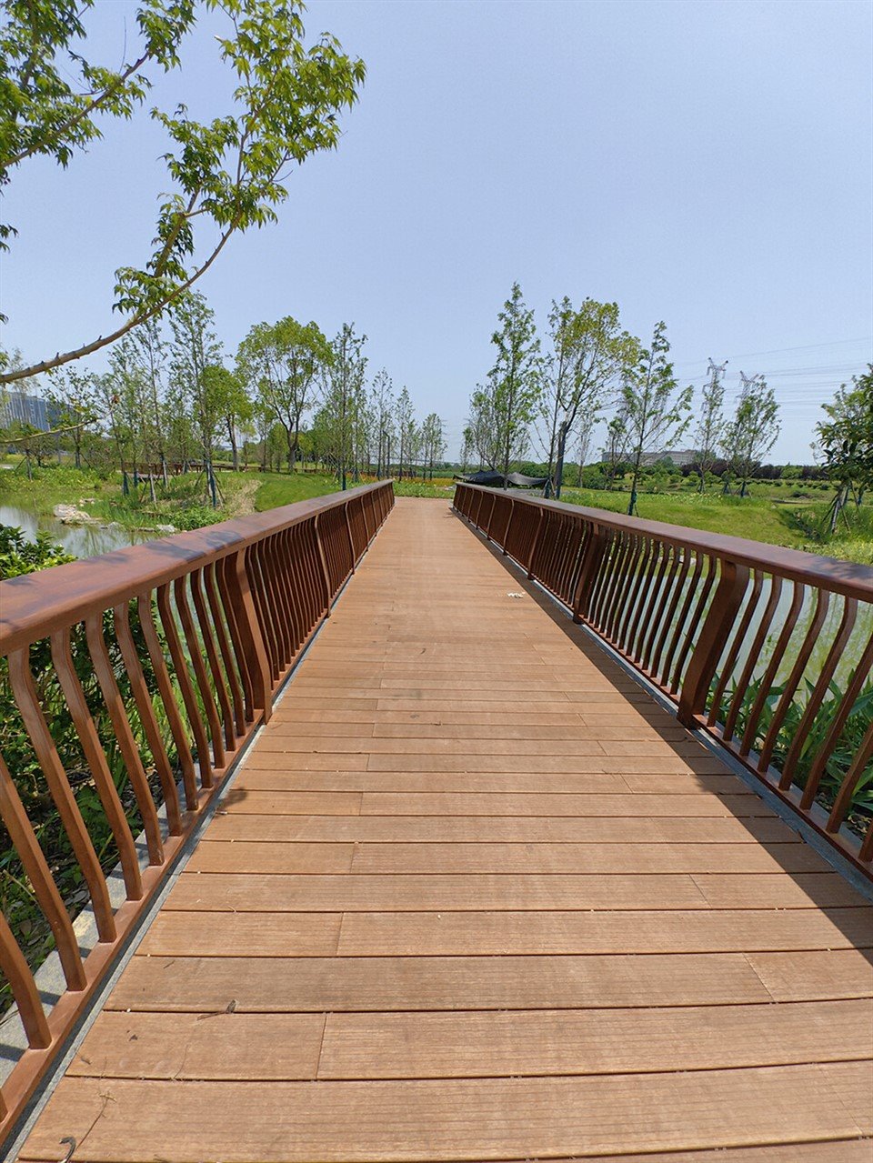 Corridor Bamboo Decking