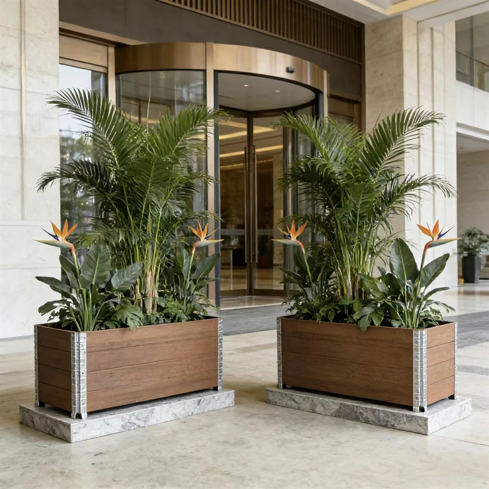 Growing Bamboo in Planter Boxes