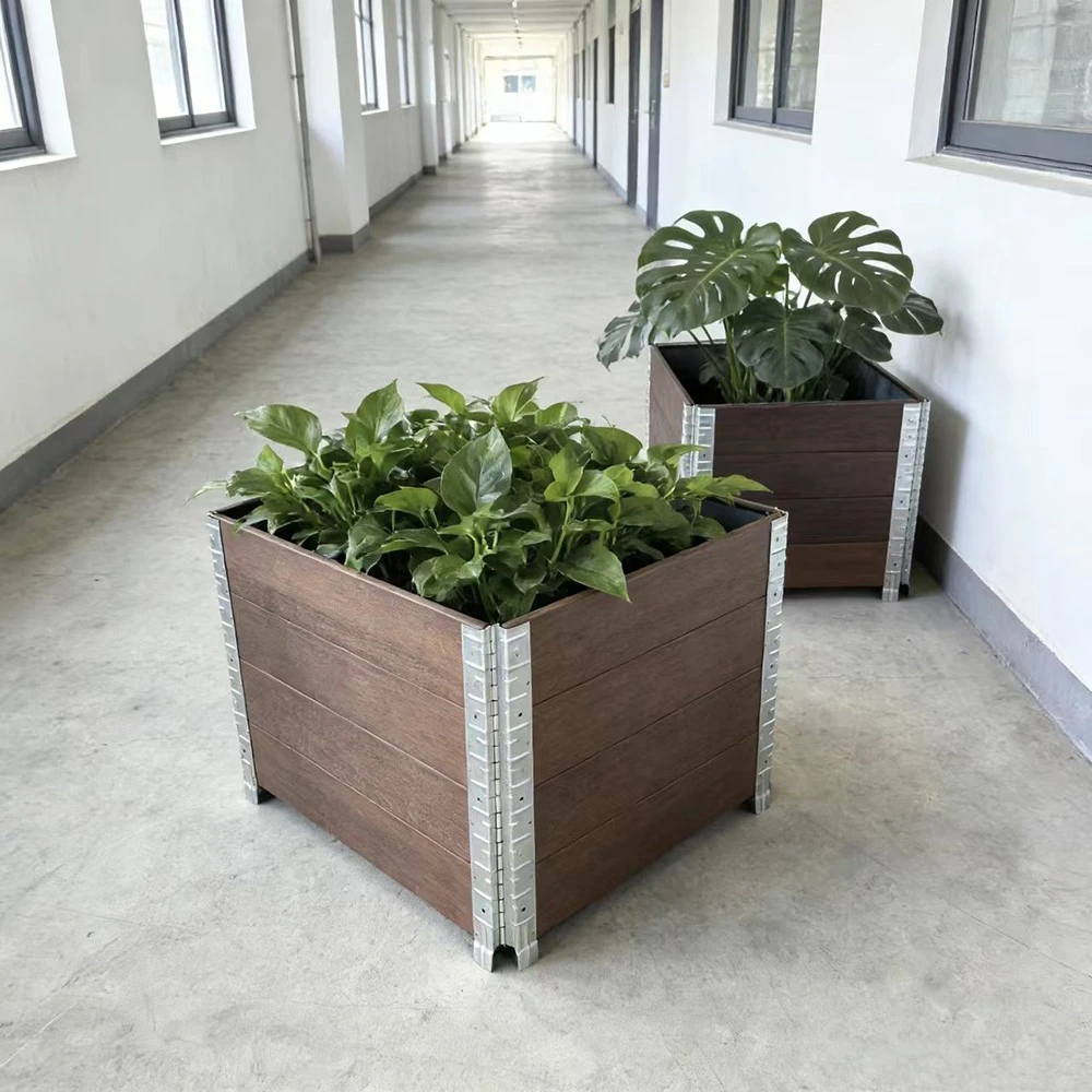 product-1000-1000 product-1000-1000