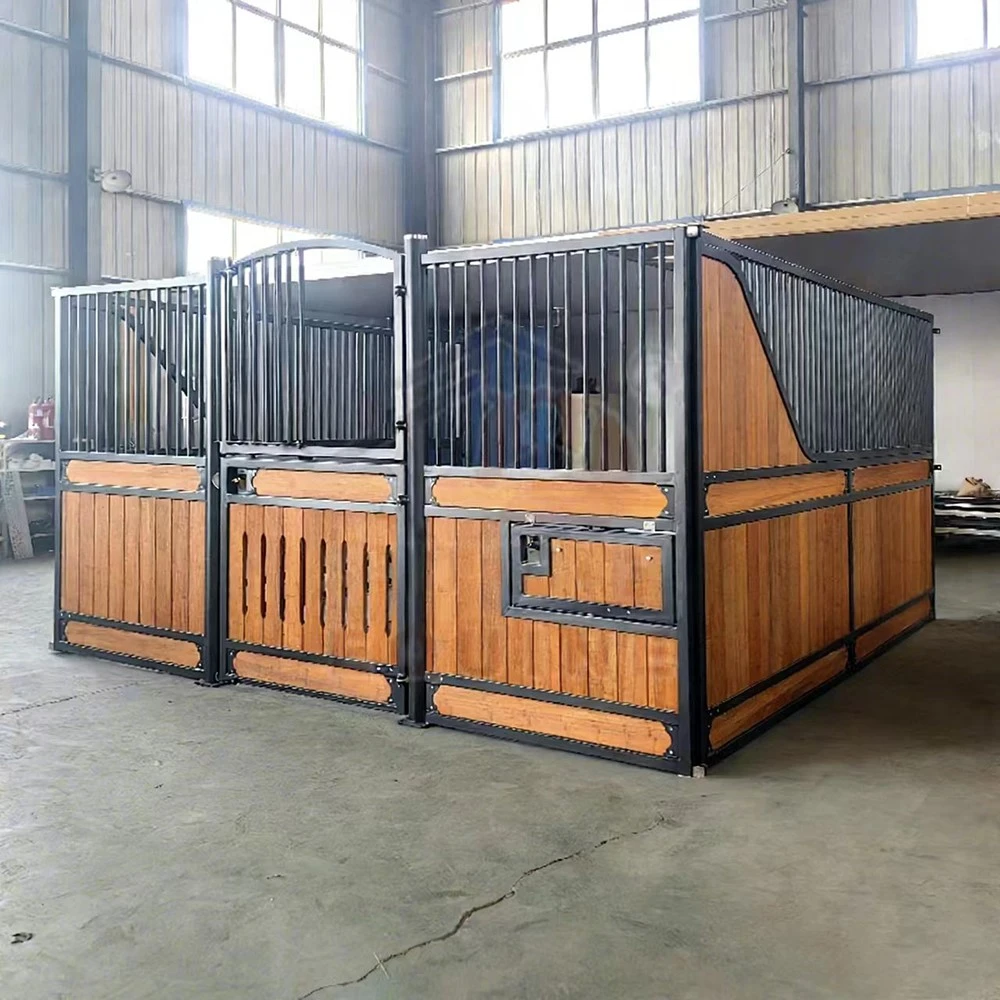 product-1000-1000 product-1000-1000