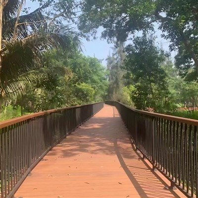 Bamboo Deck Railing