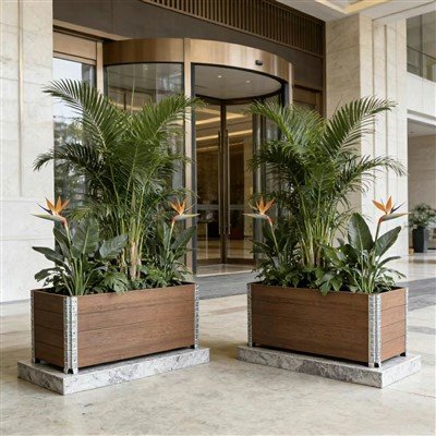 Growing Bamboo in Planter Boxes
